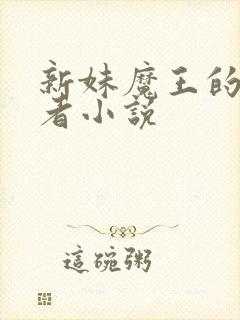新妹魔王的契约者小说