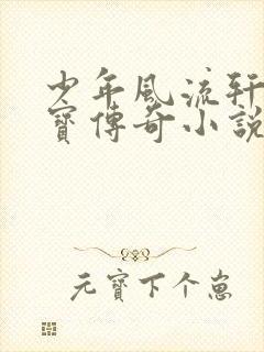 少年风流轩辕大宝传奇小说