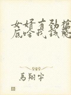 女婿有劲枪枪到底啥我钱飞了