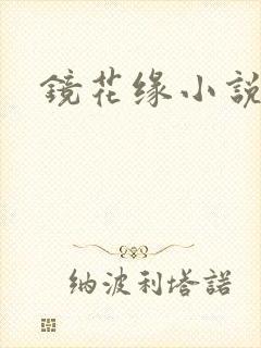 镜花缘小说