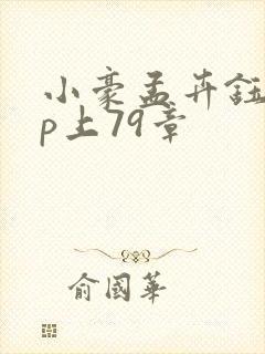 小豪孟卉钰慧三p上79章