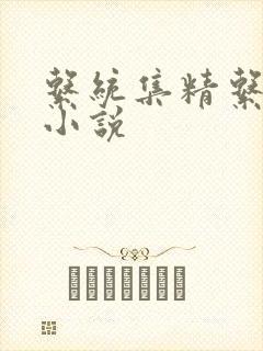 系统集精系统 小说