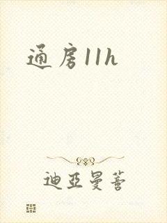 通房11h