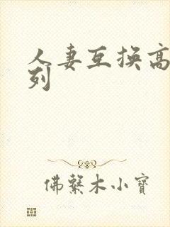 人妻互换高h系列