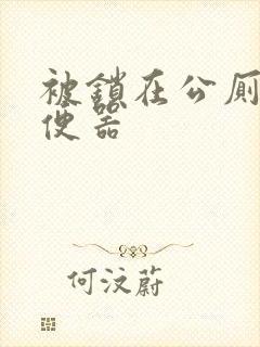 被锁在公厕当坐便器