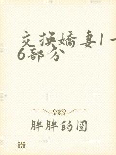 交换娇妻1一36部分