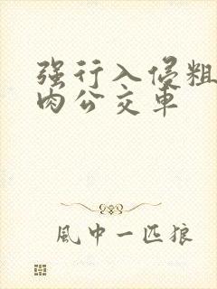 强行入侵粗暴h肉公交车