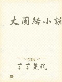 大团结小说全文