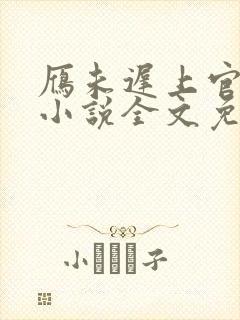 雁未迟上官穿越小说全文免费阅读