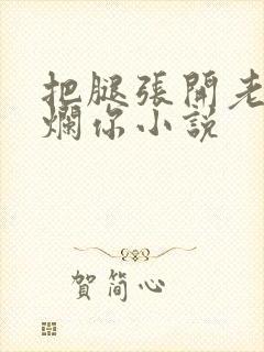 把腿张开老子臊烂你小说