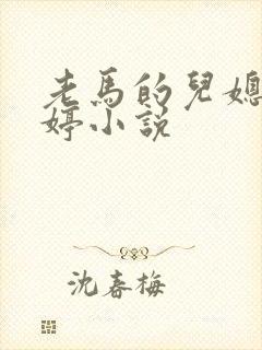 老马的儿媳顾婉婷小说