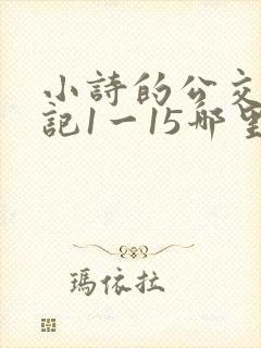 小诗的公交车日记1一15哪里能看