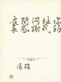 夜间网址你会回来感谢我的