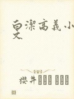 白洁高义小说全文