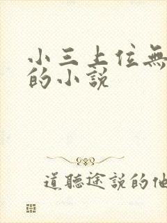 小三上位无三观的小说