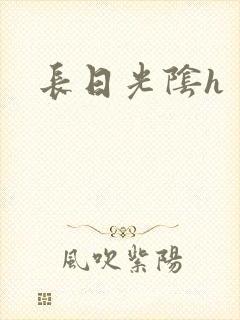 长日光阴h