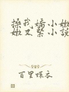 搡我娇小嫩苞又嫩又紧小说