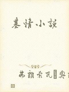 基情小说