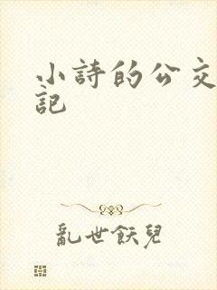 小诗的公交车日记