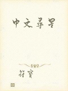 中文寻星