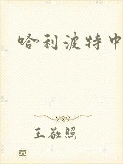 哈利波特中文版