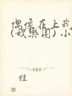 偶像在上我在下(娱乐圈) 小说免费阅读