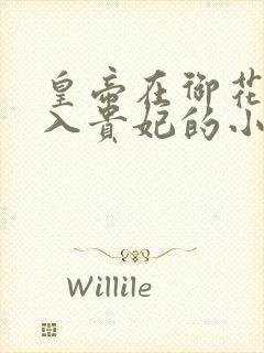 皇帝在御花园进入贵妃的小说