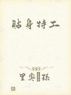 贴身特工