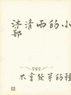 沐清雨的小说全部