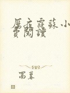 厉夜霆苏小汐免费阅读