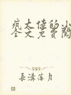 疯大佬的小玩物全文免费阅读小说