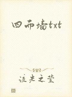 四面墙txt