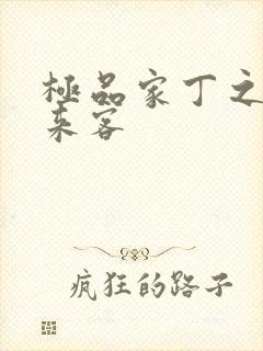 极品家丁之远方来客