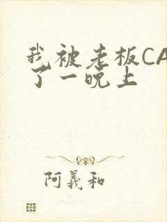 我被老板CAO了一晚上