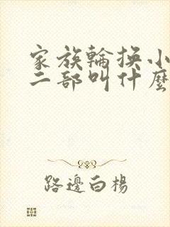 家族轮换小说第二部叫什么名字