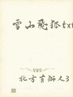 雪山飞狐txt