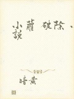 小萝 破除 小说