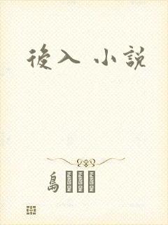 后入 小说