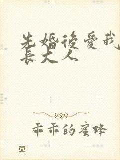 先婚后爱我的市长大人