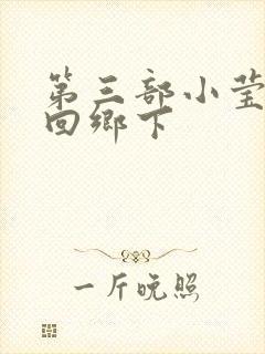 第三部小莹乱翁回乡下