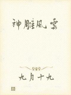 神雕风云