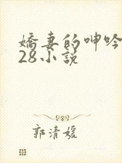 娇妻的呻吟1—28小说