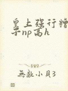 皇上强行糟蹋太子np高h