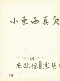 小东西真欠弄