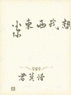 小东西我想弄坏你