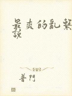 最爽的乱系列小说