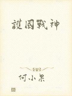 护国战神
