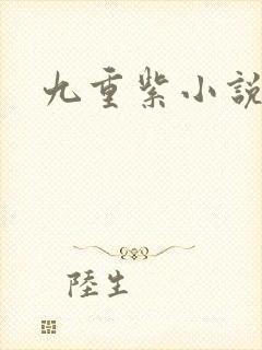 九重紫小说