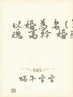 以婚为名 (军魂 高干 婚恋)