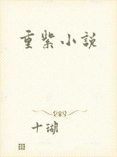 重紫小说